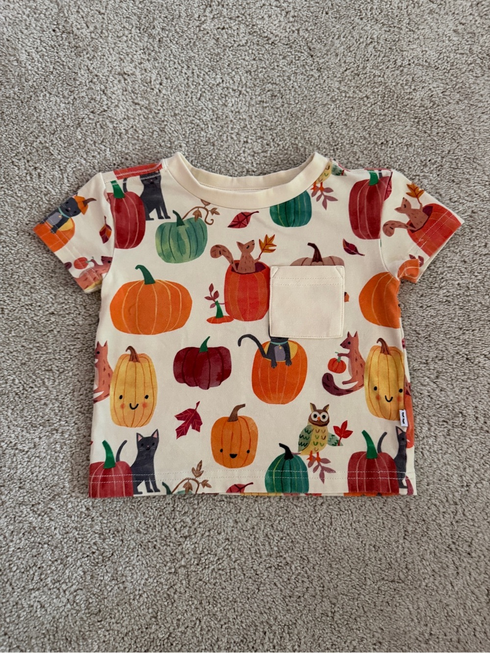 Little Sleepies Cream Pumpkin & Woodland Pocket Tee